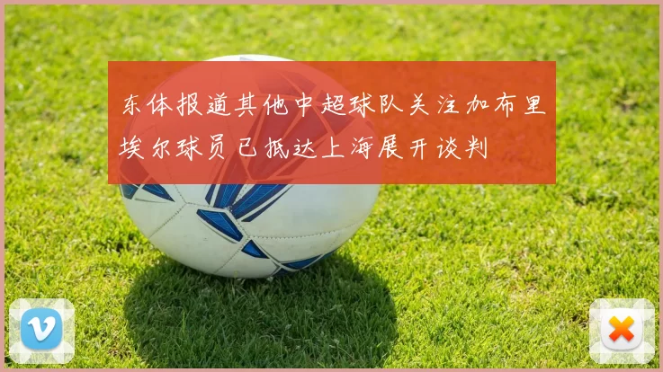东体报道其他中超球队关注加布里埃尔球员已抵达上海展开谈判